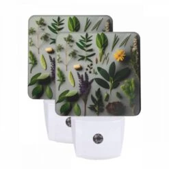 Night Light Set Of 2, A Collection Of Various Plants And Herbs.