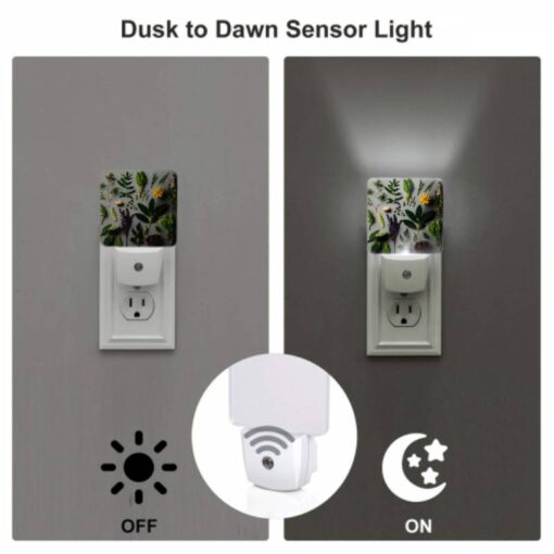 Night Light Set Of 2, A Collection Of Various Plants And Herbs. -Nuas Diy Shop 0560d5b925e278acfc7358ac8c072dc2e1f443f8
