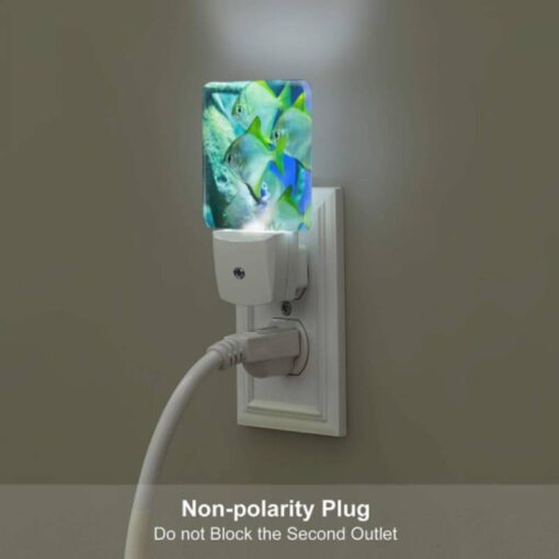 Night Light Set Of 2, A Group Of Fish Swimming In A Tank. -Nuas Diy Shop 090418a07981e659f4819c5e1be006db491019f7