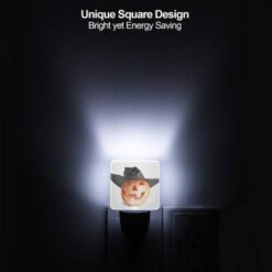 Night Light Set Of 2, A Pumpkin With A Black Hat On It. -Nuas Diy Shop 0a169679692abeab924353cb935643e58e774c24