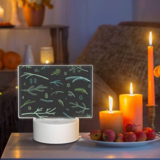 Rectangular Acrylic Night Light, A Collection Of Different Plants And Leaves. -Nuas Diy Shop 0c58fa94504f71b8d0cb4d1db79414787c5c2d5a