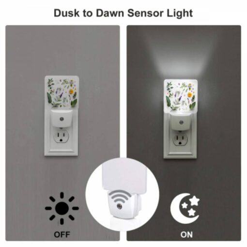 Night Light, A Collection Of Various Plants And Flowers. -Nuas Diy Shop 11ddac4c8e5c3c905e562d0334966679e8d392e0