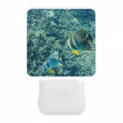 Night Light, Two Fish Swimming In The Ocean. -Nuas Diy Shop 129ef8cfa1b3f9da3e328f5090891829047cfc5d