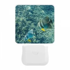 Night Light, Two Fish Swimming In The Ocean. 11 Night Light, Two Fish Swimming In The Ocean. -Nuas Diy Shop 129ef8cfa1b3f9da3e328f5090891829047cfc5d
