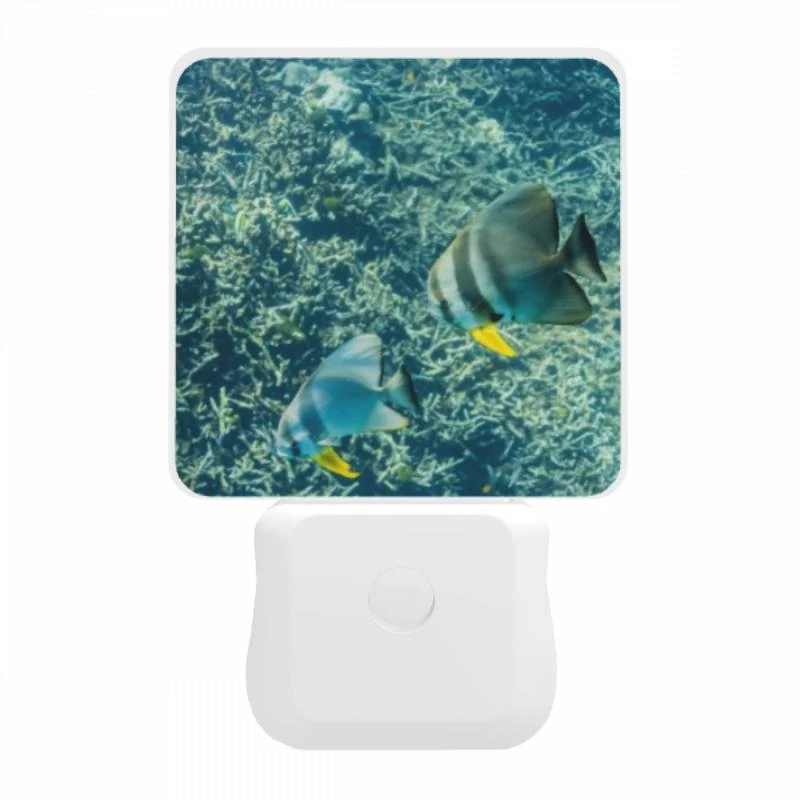 Night Light, Two fish swimming in the ocean. Night Light, Two Fish Swimming In The Ocean. -Nuas Diy Shop 129ef8cfa1b3f9da3e328f5090891829047cfc5d