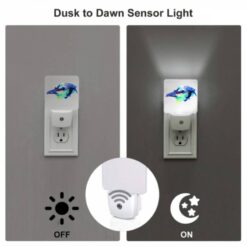Night Light Set Of 2, A Colorful Bird With A Black Eye. -Nuas Diy Shop 12bc83c2ec4e6362ee38a660368f666d547249b9