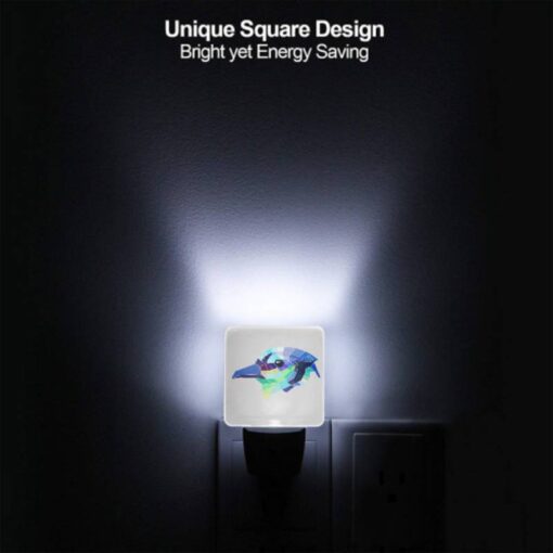 Night Light Set Of 2, A Colorful Bird With A Black Eye. -Nuas Diy Shop 18400d0ca06ef23923e01cc1532e736fdbfa7613