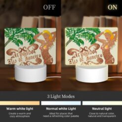 Rectangular Acrylic Night Light, A Woman In A Bikini Is Standing In Front Of A Palm Tree. -Nuas Diy Shop 19dc8461d3ac55fbbfa2bfaf45d25aec9a94e205