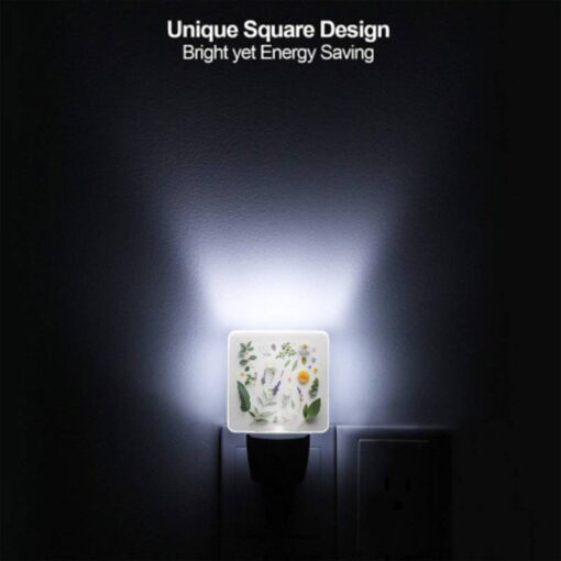 Night Light, A Collection Of Various Plants And Flowers. -Nuas Diy Shop 2133d3f8fb875d0591c7fe3e2f942fdf684db845