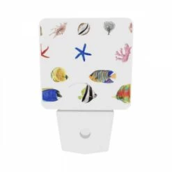 Night Light Set Of 2, A Collection Of Colorful Fish And Sea Creatures. -Nuas Diy Shop 239cdd27bfd27acce063bccf7dae7d799ee73950