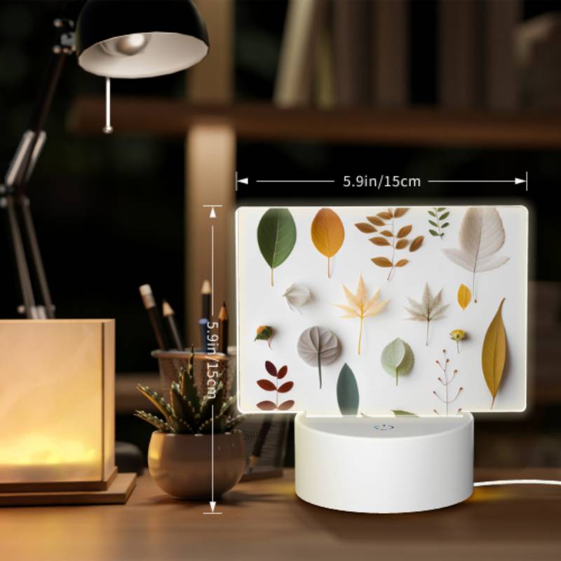 Rectangular Acrylic Night Light, A collection of leaves in various colors and shapes. Rectangular Acrylic Night Light, A Collection Of Leaves In Various Colors And Shapes. -Nuas Diy Shop 27b15dcd394d9a59884d37857bb270147a34361d