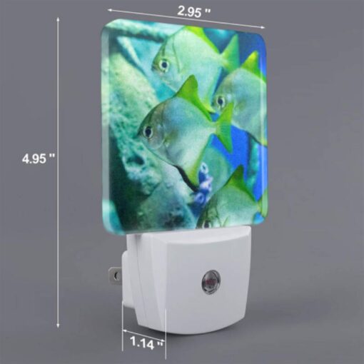 Night Light Set Of 2, A Group Of Fish Swimming In A Tank. -Nuas Diy Shop 285a427a1a7961e7213d17020b5dd3e14fc9e60d