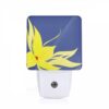 Night Light, Cdafc51e-4c00-4375-b9ac-1937a8b3eb4e.jpeg -Nuas Diy Shop 2e1427f6b9ea993d02736091617b5791321aa4fa