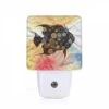 Night Light, A Fish With A Lot Of Eyes On It. 2 Night Light, A Fish With A Lot Of Eyes On It. -Nuas Diy Shop 3cb595ce9d41585eaff4bcbd4b44efe420dfde53
