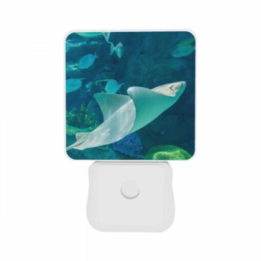 Night Light Set Of 2, A White Stingray Swims In The Ocean. -Nuas Diy Shop 3ebe7f292254658d34a0a97baa9adea5b122badf