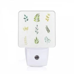 Night Light, Six Different Types Of Leaves Are Shown In A Row.