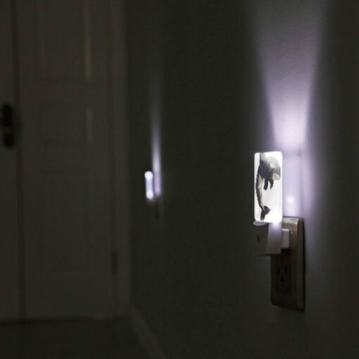 Night Light, A Black And White Whale With A White Belly. -Nuas Diy Shop 447dc5ec77d911c9c570201de601e681e3bc91cf
