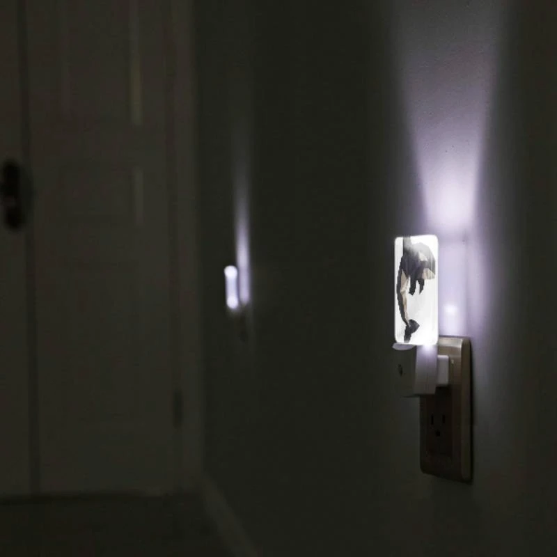 Night Light, A black and white whale with a white belly. Night Light, A Black And White Whale With A White Belly. -Nuas Diy Shop 447dc5ec77d911c9c570201de601e681e3bc91cf