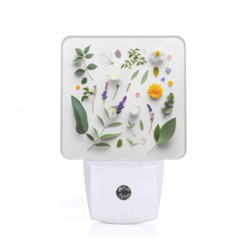 Night Light, A Collection Of Various Plants And Flowers. -Nuas Diy Shop 584bf300038afa7379ac697b53e60dfde00b9013