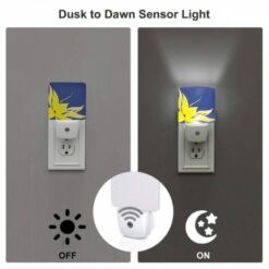 Night Light, Cdafc51e-4c00-4375-b9ac-1937a8b3eb4e.jpeg -Nuas Diy Shop 593b57a33d7437f8a86dbb789549346e701b532b