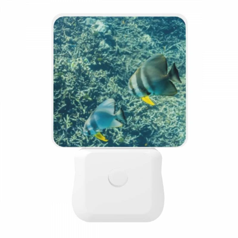 Night Light, Two fish swimming in the ocean. Night Light, Two Fish Swimming In The Ocean. -Nuas Diy Shop 5aebf6b41bfe17b8c35255202b1651c1e705abcd