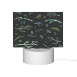Rectangular Acrylic Night Light, A Collection Of Different Plants And Leaves. -Nuas Diy Shop 5e6a467b4935832beeab1fe94220f7802dcfbeaa