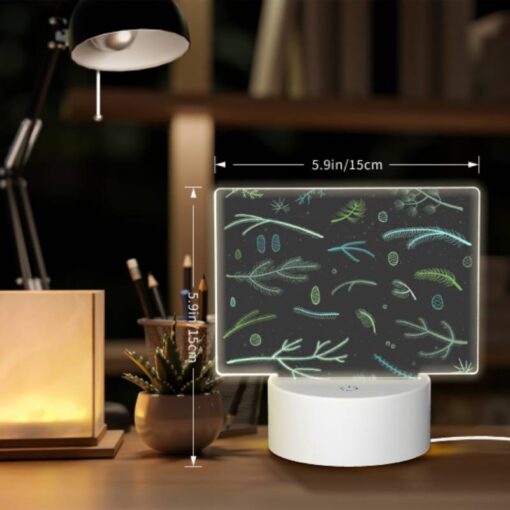 Rectangular Acrylic Night Light, A Collection Of Different Plants And Leaves. -Nuas Diy Shop 63e2adacf44014285c1f54564f58297024c76c8a