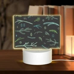 Rectangular Acrylic Night Light, A Collection Of Different Plants And Leaves.