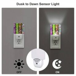 Night Light Set Of 2, Three Colorful Designs Are Displayed On A Row. -Nuas Diy Shop 676db774e1656e9ccb6bfdef67172997c61d3272