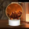 Round Acrylic Night Light, A Table Full Of Pumpkins And Gourds. -Nuas Diy Shop 6ce92cf53d757caf193b0f21bb907028114f4001