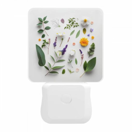 Night Light, A Collection Of Various Plants And Flowers. -Nuas Diy Shop 6df0ec5c1687da66df95fcf5c6aa5e36917ccecc