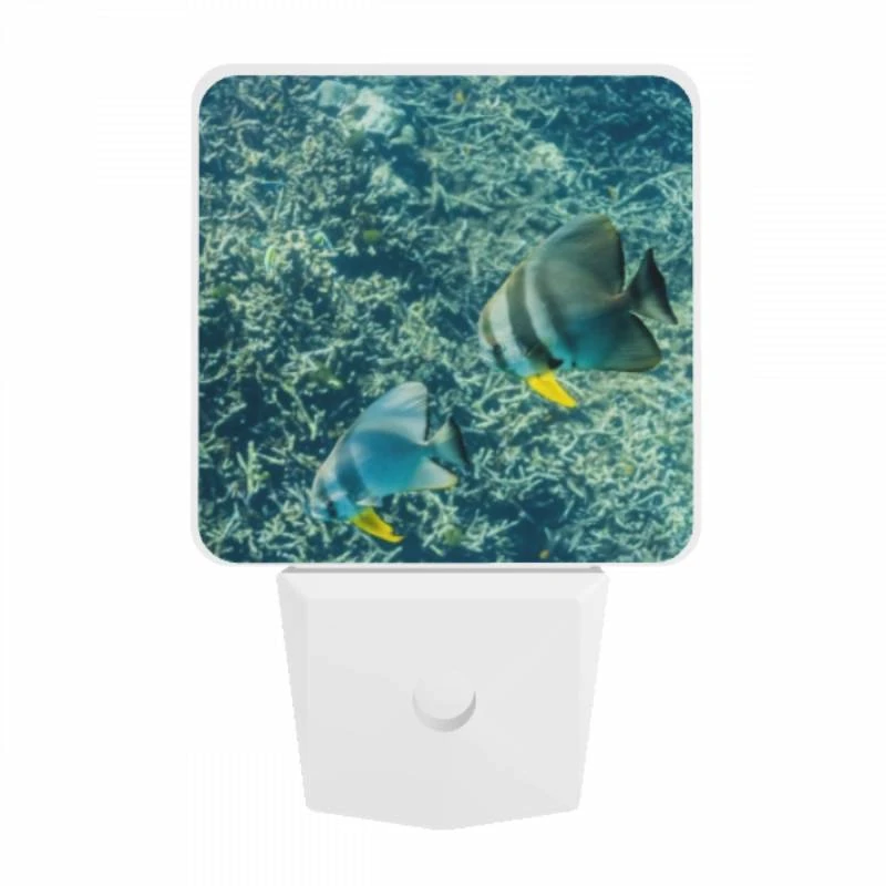 Night Light, Two fish swimming in the ocean. Night Light, Two Fish Swimming In The Ocean. -Nuas Diy Shop 6e6ea131d3352b46088d58825324c2eadb3654a5