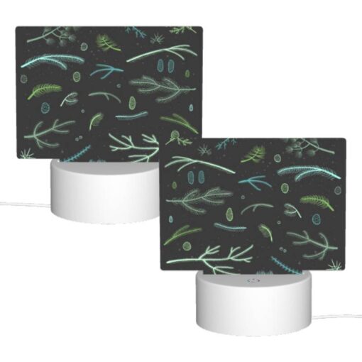 Rectangular Acrylic Night Light, A Collection Of Different Plants And Leaves. -Nuas Diy Shop 6ea8d461a2eee382e176c998d42162eabaf322ee