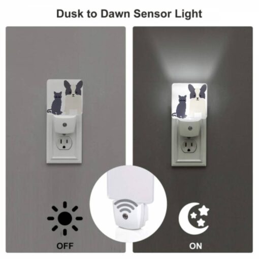 Night Light, A Black Cat And A Black And White Dog Standing Next To Each Other. -Nuas Diy Shop 75f6b44880840e94ceb5768af73084533f1da275