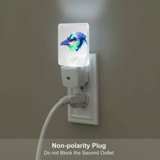 Night Light Set Of 2, A Colorful Bird With A Black Eye. -Nuas Diy Shop 77810aa11b65f1ca775f8ec746eff2d680114218