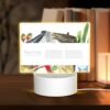 Rectangular Acrylic Night Light, A Colorful Poster Of Mexico With A Variety Of Foods And Landmarks. -Nuas Diy Shop 81c705622cfbfe800a9a11a6a8cfd9941cf89bdb