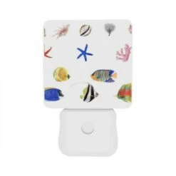 Night Light Set Of 2, A Collection Of Colorful Fish And Sea Creatures. -Nuas Diy Shop 8ab429737aa71fe930dfb633ba34e9eceaf27bc1