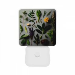 Night Light Set Of 2, A Collection Of Various Plants And Herbs. -Nuas Diy Shop 9395dd76e195ae12bd1989a0532f9c73025461f7