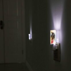 Night Light, A Fish With A Lot Of Eyes On It. -Nuas Diy Shop 97e3f2002a2a586f33894e28879b744d635d2b48