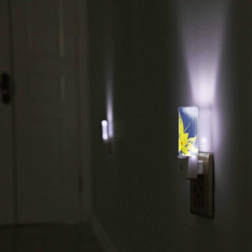 Night Light, Cdafc51e-4c00-4375-b9ac-1937a8b3eb4e.jpeg -Nuas Diy Shop 9b224c358e72c90b206590644f5784b9e4a01d21