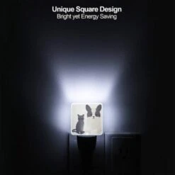 Night Light, A Black Cat And A Black And White Dog Standing Next To Each Other. 6 Night Light, A Black Cat And A Black And White Dog Standing Next To Each Other. -Nuas Diy Shop a33311d956d7bba4edd613862490fd7a3ce386b0