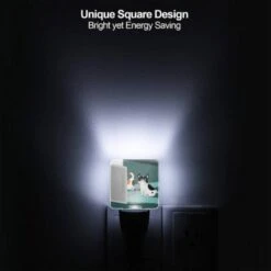 Night Light, A Cat And A Dog Are Sitting Next To Each Other. 6 Night Light, A Cat And A Dog Are Sitting Next To Each Other. -Nuas Diy Shop a9ce00807b2d63577588d52faf5bddb0611ecc18