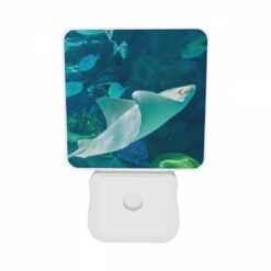 Night Light Set Of 2, A White Stingray Swims In The Ocean. -Nuas Diy Shop b0c0fa926c7c676edb3c64d6281be4e7d13cd37e