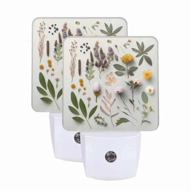 Night Light Set of 2, A collection of flowers and plants are displayed on a table. Night Light Set Of 2, A Collection Of Flowers And Plants Are Displayed On A Table. -Nuas Diy Shop b2f37d07bb437c6dca4256edcbc023920d0eac61