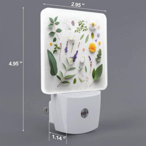 Night Light, A Collection Of Various Plants And Flowers. -Nuas Diy Shop b4ef54a036664e31f9f16dc56fe297ef08b818e3