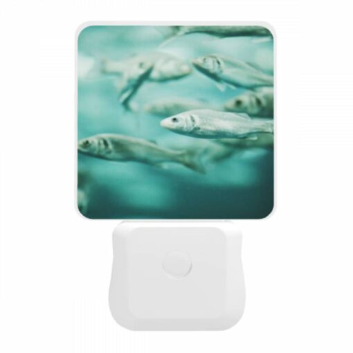 Night Light, A School Of Fish Swimming In The Ocean. -Nuas Diy Shop b769399e0ffbb6c853c3ecb79d10f6013a3b071f