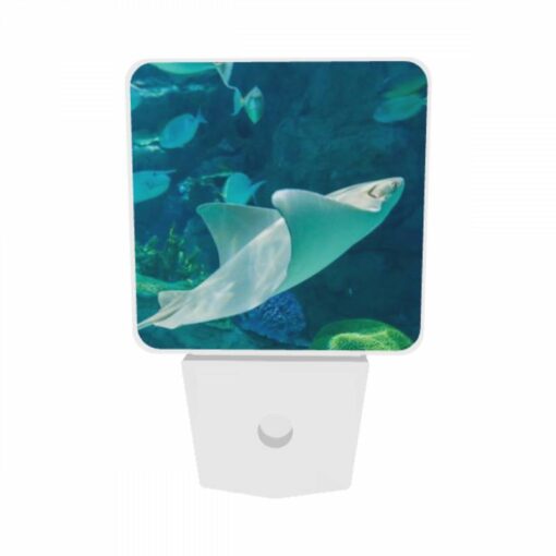Night Light Set Of 2, A White Stingray Swims In The Ocean. -Nuas Diy Shop c581b572a0df58ff8c07be690eb524b0eb4b5b02