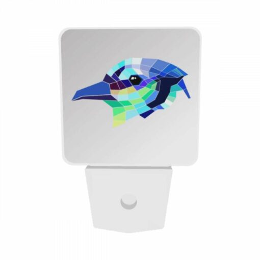 Night Light Set Of 2, A Colorful Bird With A Black Eye. -Nuas Diy Shop c9fbd8e4e3fee952df3ec08e693c1feb099bce70