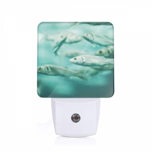 Night Light, A School Of Fish Swimming In The Ocean. -Nuas Diy Shop cdcf9109024b9c7d0777ce2996bdfbd65146d7a8