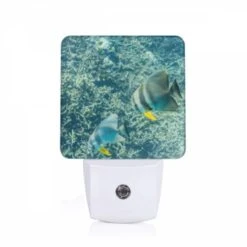 Night Light, Two Fish Swimming In The Ocean.